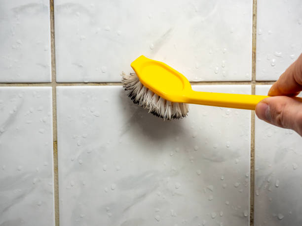 Best Mold Removal Near Me  in Pinehurst, MA