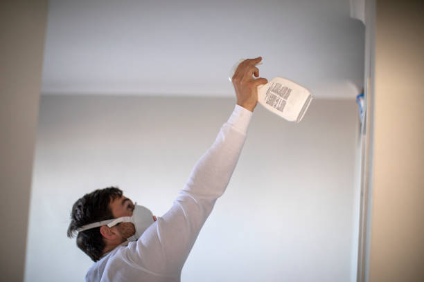 Attic Mold Removal in Pinehurst, MA