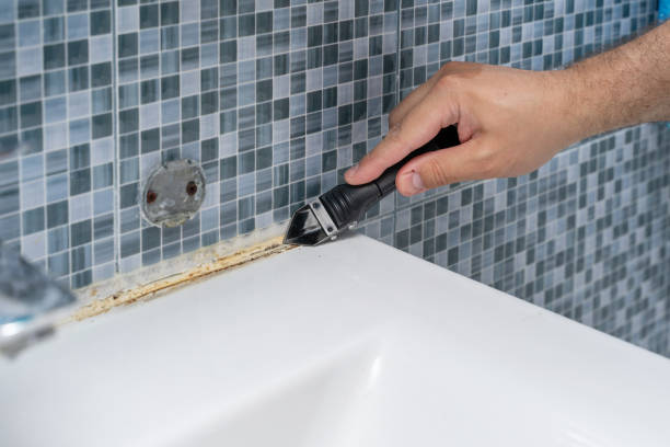 Best Attic Mold Removal  in Pinehurst, MA